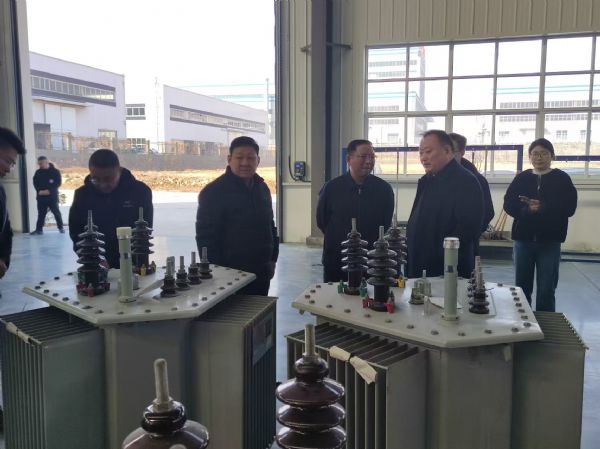 市輸變電裝備及電線電纜產業(yè)鏈領導調研英大電力裝備有限公司